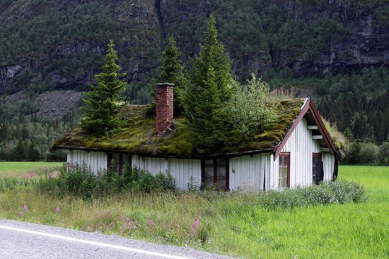 green-roof-norway-1.jpg